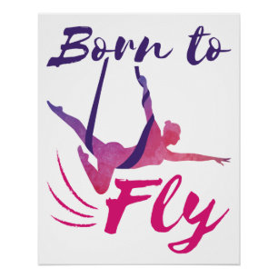 Poster Yoga Aérien soies Né pour voler