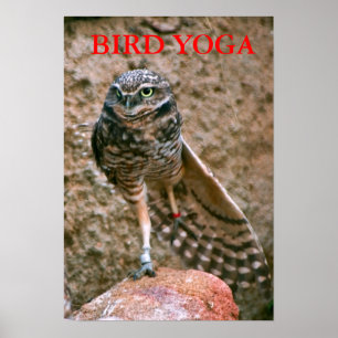 POSTER , YOGA D'OISEAU