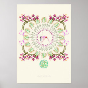 Poster yoga Garden III