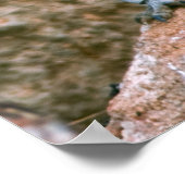 POSTER , YOGA OISEAU (Coin)