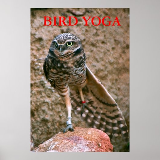 POSTER , YOGA OISEAU (Devant)