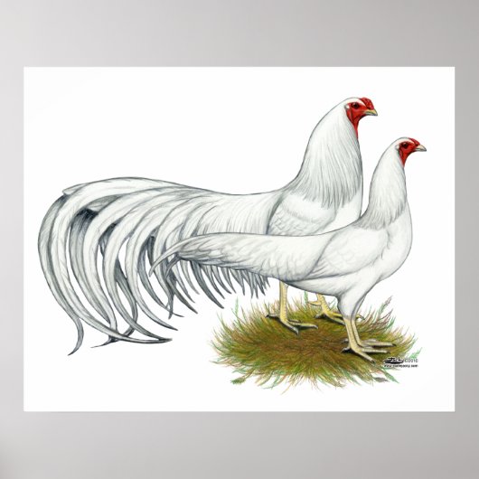 Poster Yokohama : Paire blanche (Devant)