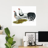 Poster Yokohama : Paire de caniche d'argent (Bureau à domicile)