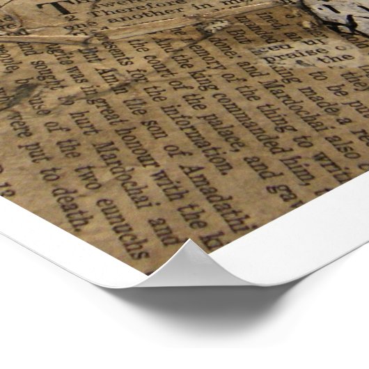 Poster Yorick#2 (Coin)