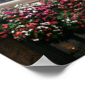 Poster York Window Boxes (Coin)