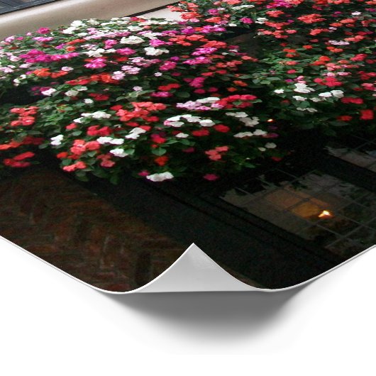 Poster York Window Boxes (Coin)