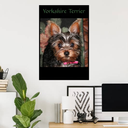 Poster Yorkie (Bureau à domicile)