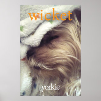 Poster Yorkie Orange Nom & Photo