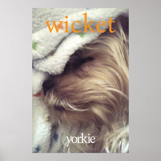 Poster Yorkie Orange Nom & Photo (Devant)