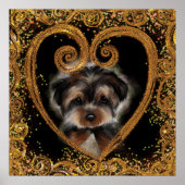 Poster Yorkie Poo (Devant)