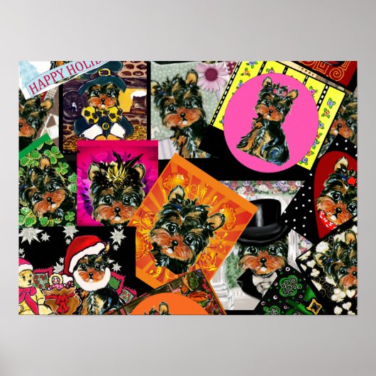 POSTER YORKIE POO (Devant)