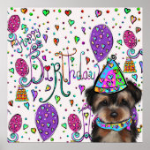 Poster Yorkie Poo (Devant)