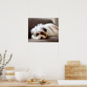 Poster Yorkie, Yorkshire Terrier, Expérience Ennui (Cuisine)