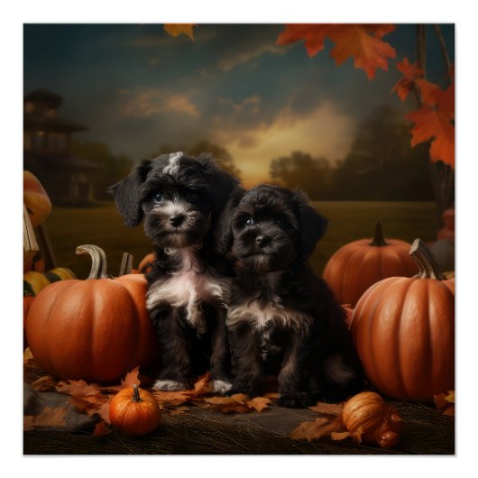 Poster Yorkipoo Chiot Automne Citrouille délice (Devant)