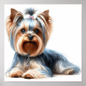 Poster Yorkshire Terrier (Devant)