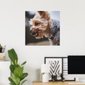Poster Yorkshire Terrier (Bureau à domicile)