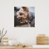 Poster Yorkshire Terrier (Cuisine)