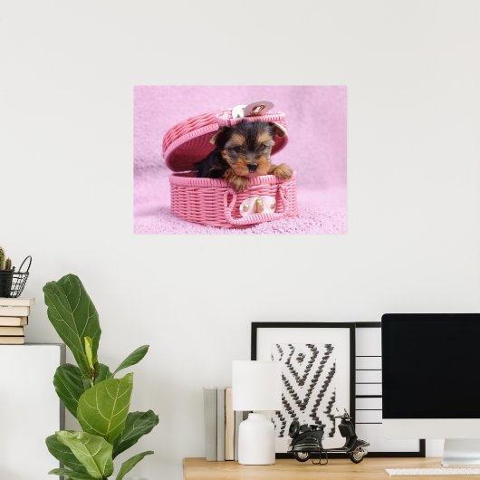 Poster Yorkshire terrier (Bureau à domicile)