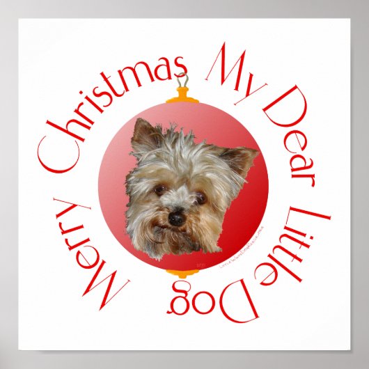 Poster Yorkshire Terrier de Noël (Devant)