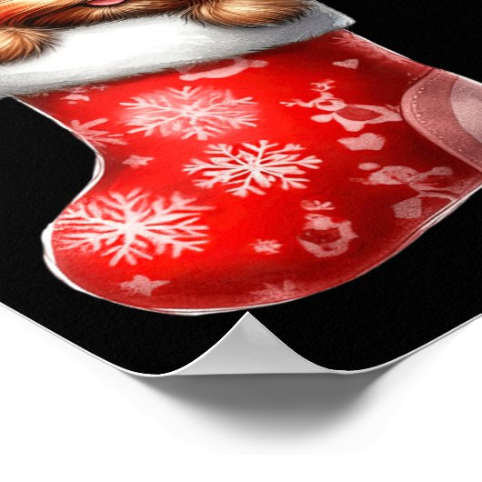 Poster Yorkshire Terrier en Sock Noël Noël Noël Noël Noël (Coin)