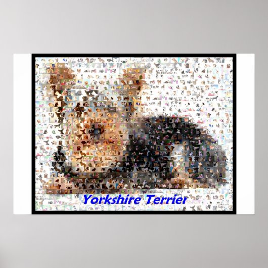 Poster Yorkshire Terrier Montage (Devant)