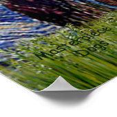 Poster Yorkshire Terrier Puppy - Nuit étoilée (Coin)