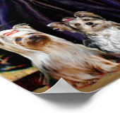 Poster Yorkshire Terriers (7) - La mère de Whistler (Coin)