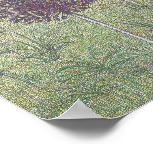 Poster Yorktown Onion (Coin)