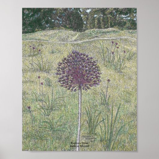 Poster Yorktown Onion (Devant)