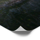 Poster yosemite chute réflexion (Coin)