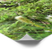 Poster Yosemite Deer Nature Photographie (Coin)