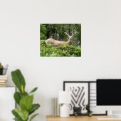 Poster Yosemite Deer Nature Photographie (Bureau à domicile)