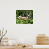 Poster Yosemite Deer Nature Photographie (Cuisine)