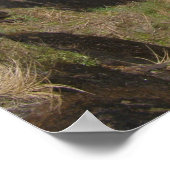 Poster Yosemite (Eau) (Coin)