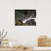 Poster Yosemite (Eau) (Cuisine)