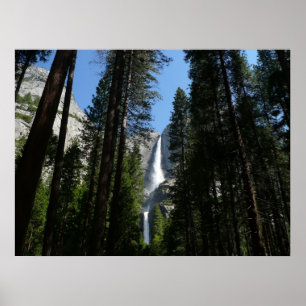 Poster Yosemite Falls et Woods Paysage Photographie