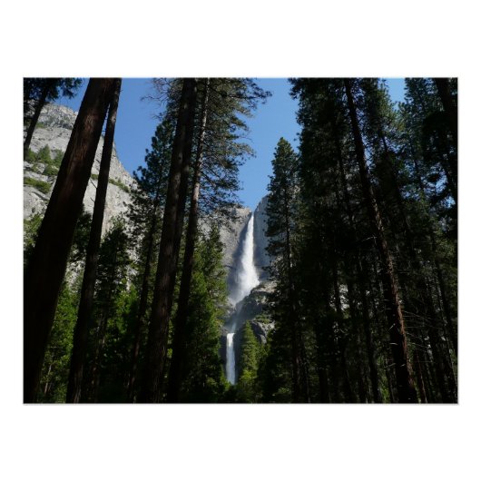 Poster Yosemite Falls et Woods Paysage Photographie (Devant)