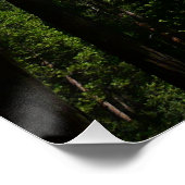 Poster Yosemite Falls et Woods Paysage Photographie (Coin)