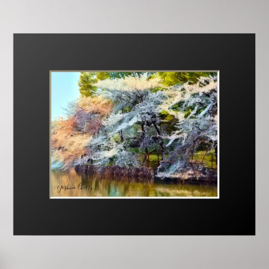 Poster Yoshino Cherry (Devant)