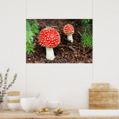 Poster Young Amanita muscaria (Cuisine)