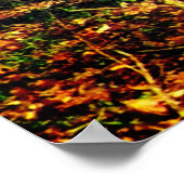 Poster Young Buck in the Woods (Coin)