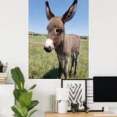 Poster Young Burro, Custer State Park, Dakota du Sud (Bureau à domicile)