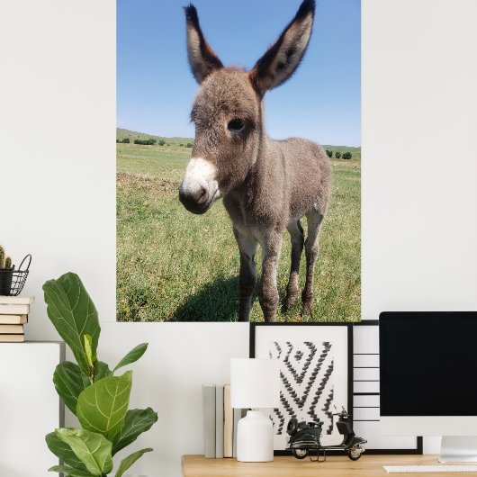 Poster Young Burro, Custer State Park, Dakota du Sud (Bureau à domicile)