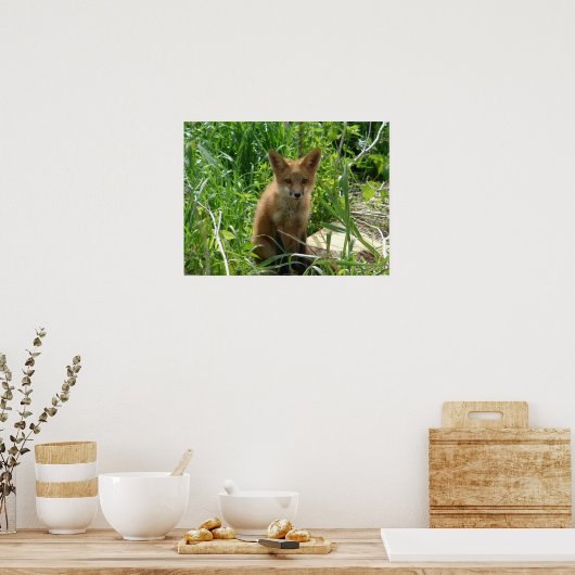 Poster Young Fox (Cuisine)