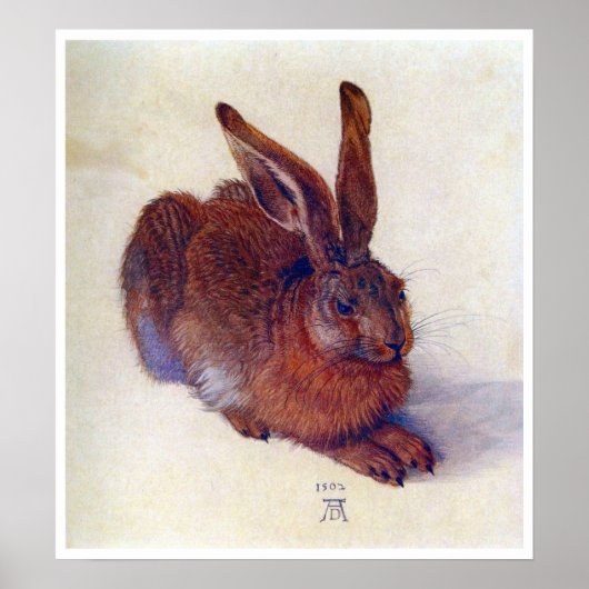 Poster Young Hare by Albrecht Durer, Renaissance Fine Art (Devant)