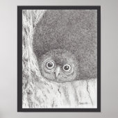 Poster Young Hawk Owl Print (Devant)