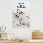 Poster Young Jack Russell Terrier (Cuisine)
