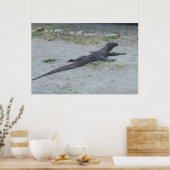 Poster Young Komodo Dragon (Cuisine)