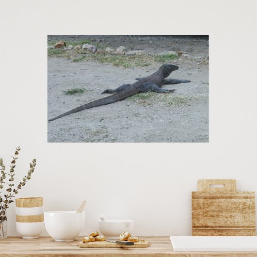 Poster Young Komodo Dragon (Cuisine)