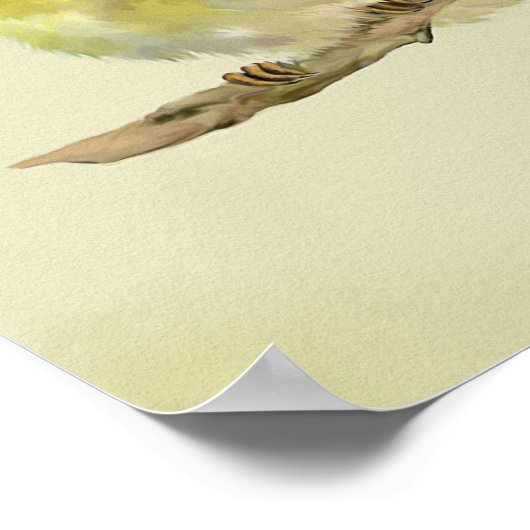 Poster Young Wood Warbler (Coin)